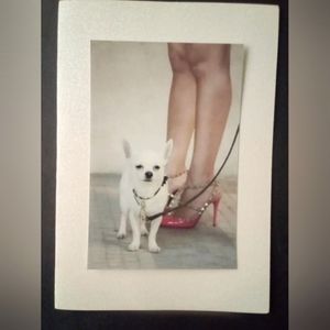 (7 diff) Official Shoe Portraits [choose one]